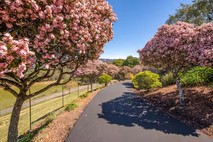 Indigo Farm - Image 3