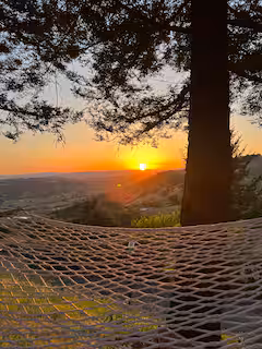 Indigo Farm - Image 7